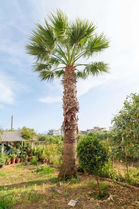 Ferienwohnung Dream House Preveza Exterior foto